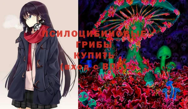 Альфа ПВП Медвежьегорск