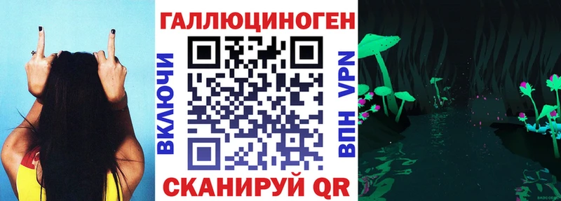 Галлюциногенные грибы MAGIC MUSHROOMS  Купить где  Звенигород 