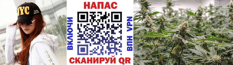 Купить где Звенигород Марихуана LSD WEED